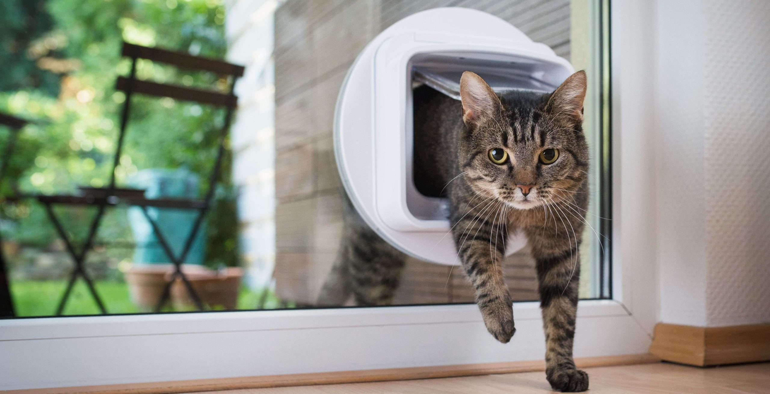 Comment fonctionne une chatière puce pour chat ?