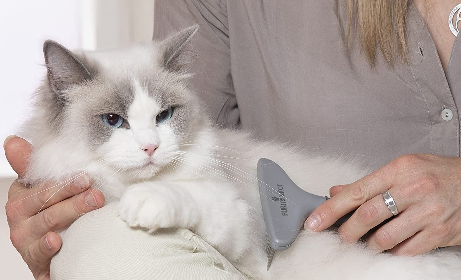 Les caractéristiques de la brosse furminator pour chat