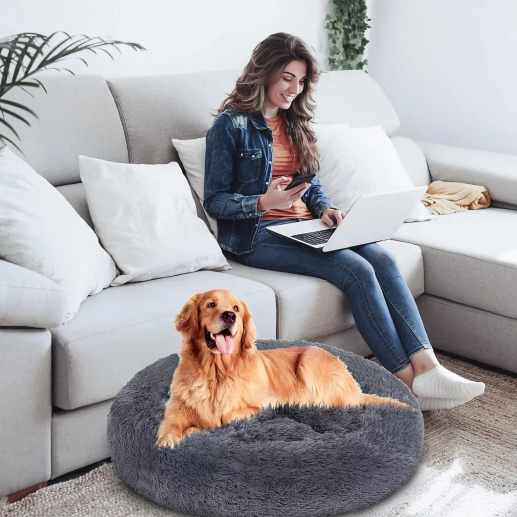 Comment choisir un coussin pour chien ?