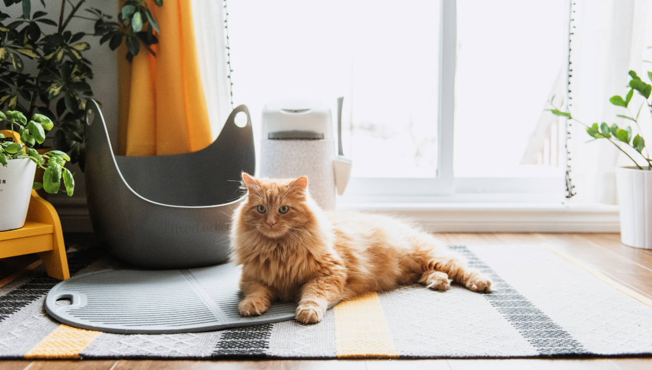 Comment choisir un tapis litière ?