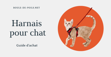 Harnais pour chat boule-de-poil