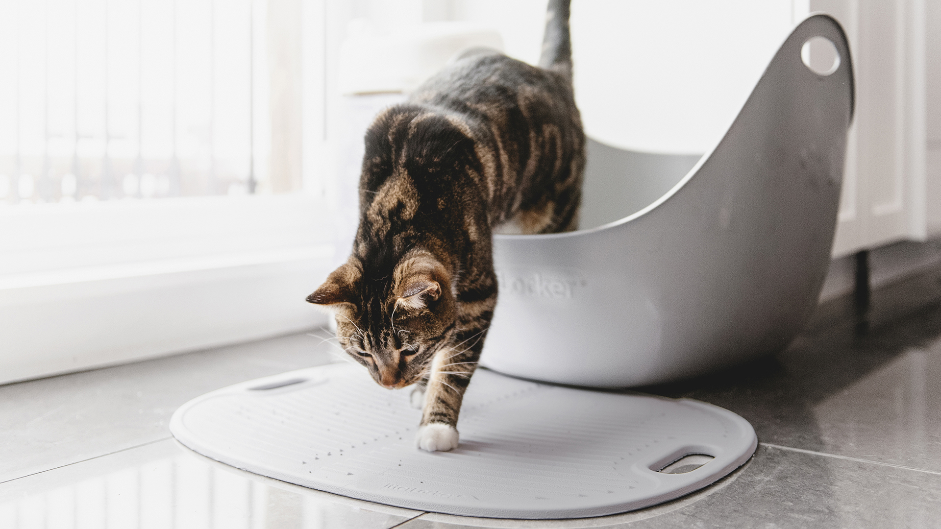 Le tapis litière : un accessoire indispensable pour la propreté du chat