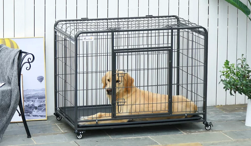 Pourquoi utiliser une cage pour chien ?