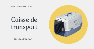 Caisse de transport chien boule-de-poils