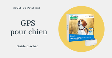 GPS pour chien boule-de-poils