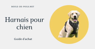 Harnais pour chien boule-de-poils