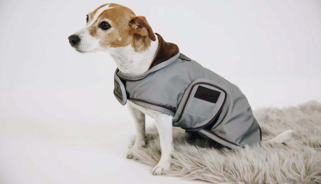 L’utilité du manteau pour chien