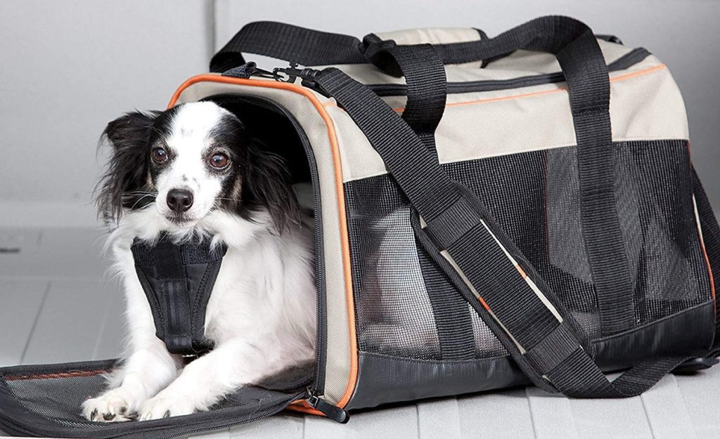 Utilité du sac de transport pour chien